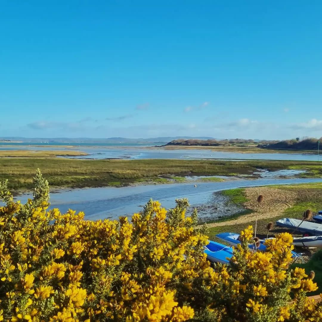 view over snowhill creek at West Wittering