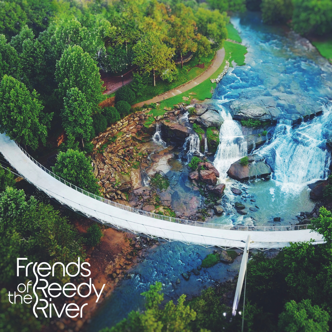 friends of the reedy river logo overlaid over image of liberty bridge at falls park on the reedy in greenville, sc