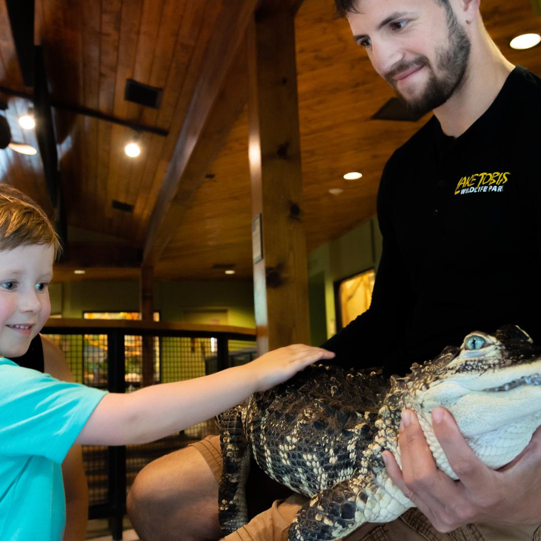 Reptile show