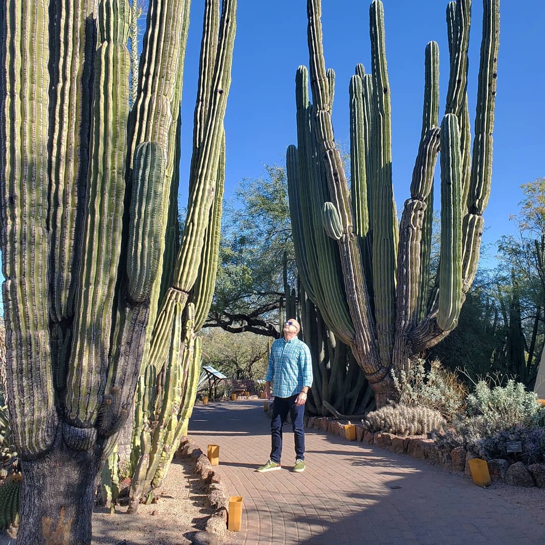 Desert Botanical Garden - Spring Fun in the Valley of the Sun