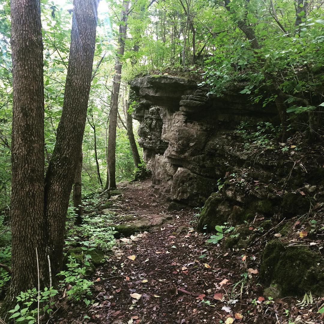 Frog Hollow