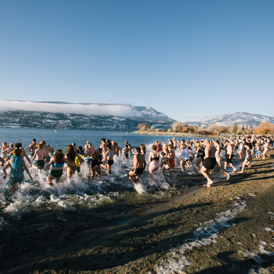 Polar Bear Dip CRIS Adaptive