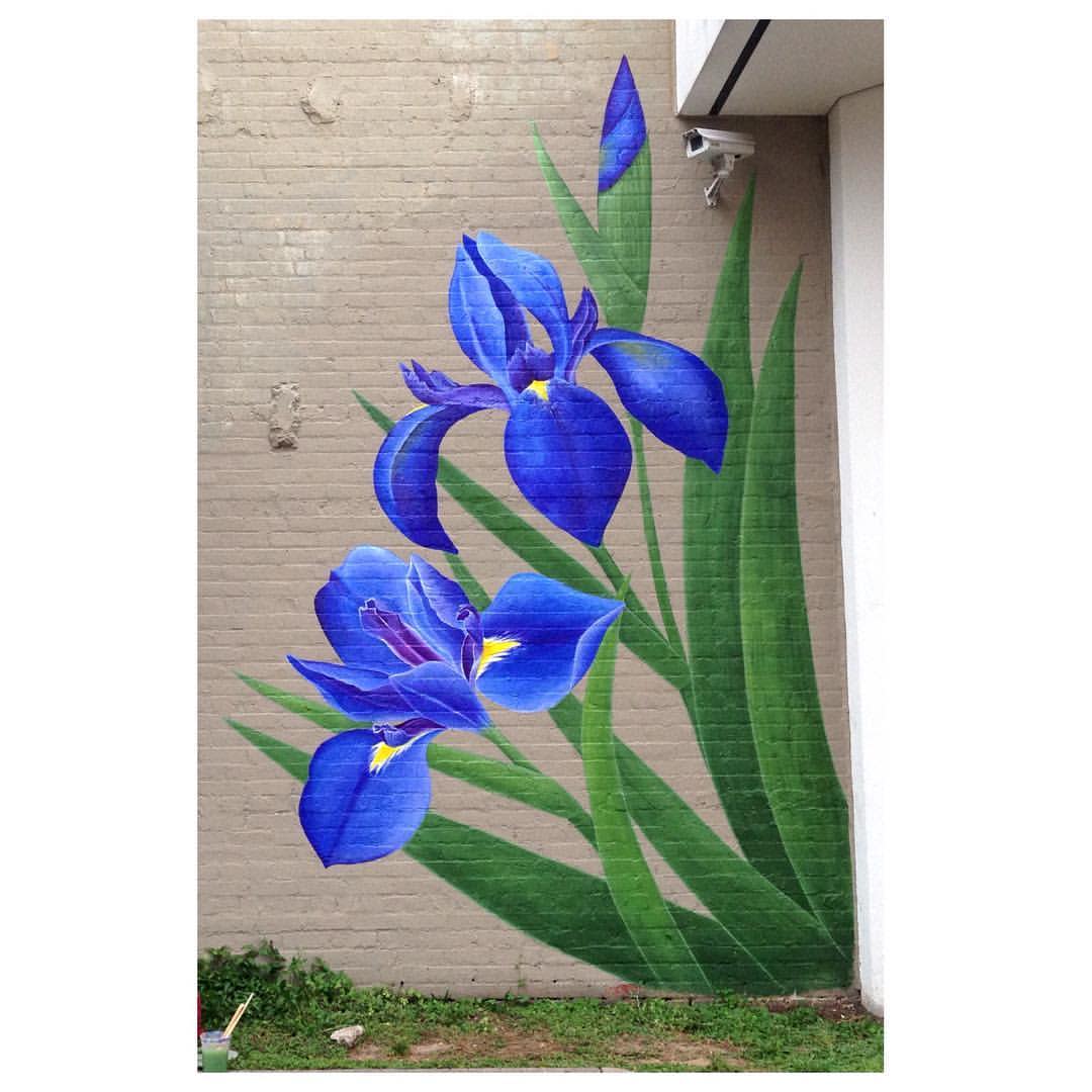 Mural of an Iris by  Kelli Smith in Lafayette, LA