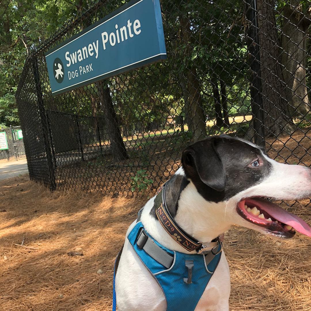 Swaney Pointe Dog Park