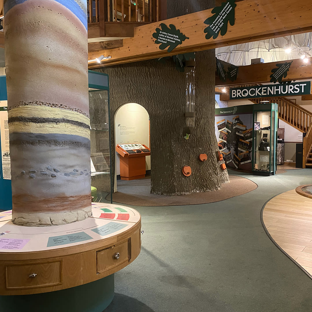 New Forest Heritage Centre