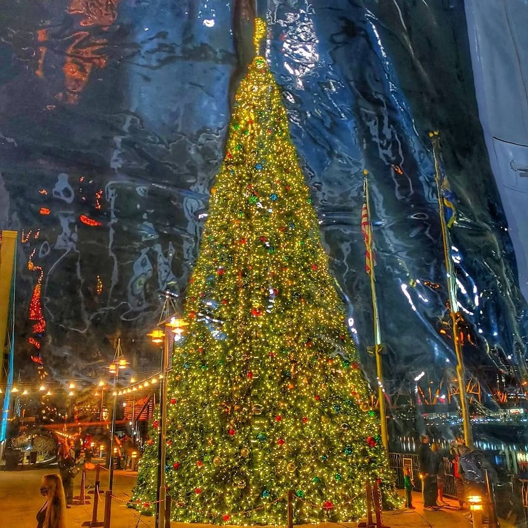 Christmas tree at Bridgeview Box Park