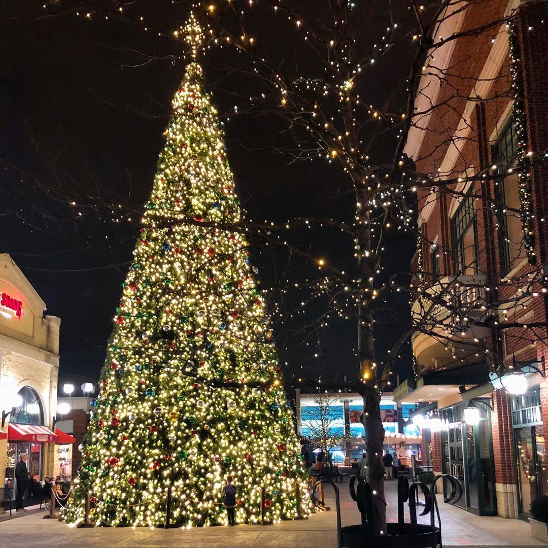 CEP Blog: 2023 Trends in Christmas Light Switch On Entertainment — CEP