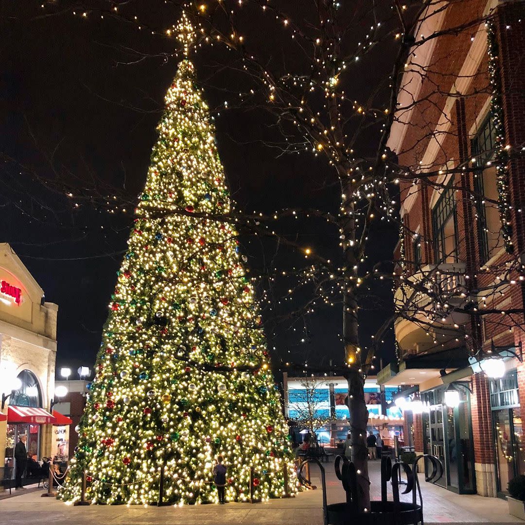 Christmas tree, several stories high, lighted with white lights at Newport on the Levee in Kentucky