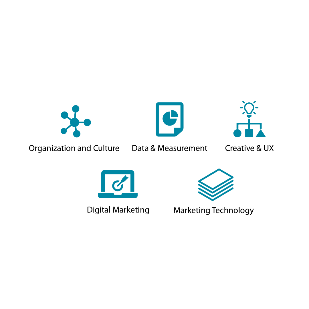 Digital Maturity Icons