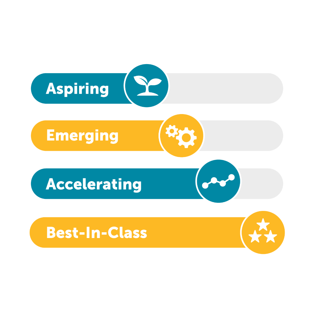 Digital Maturity Levels