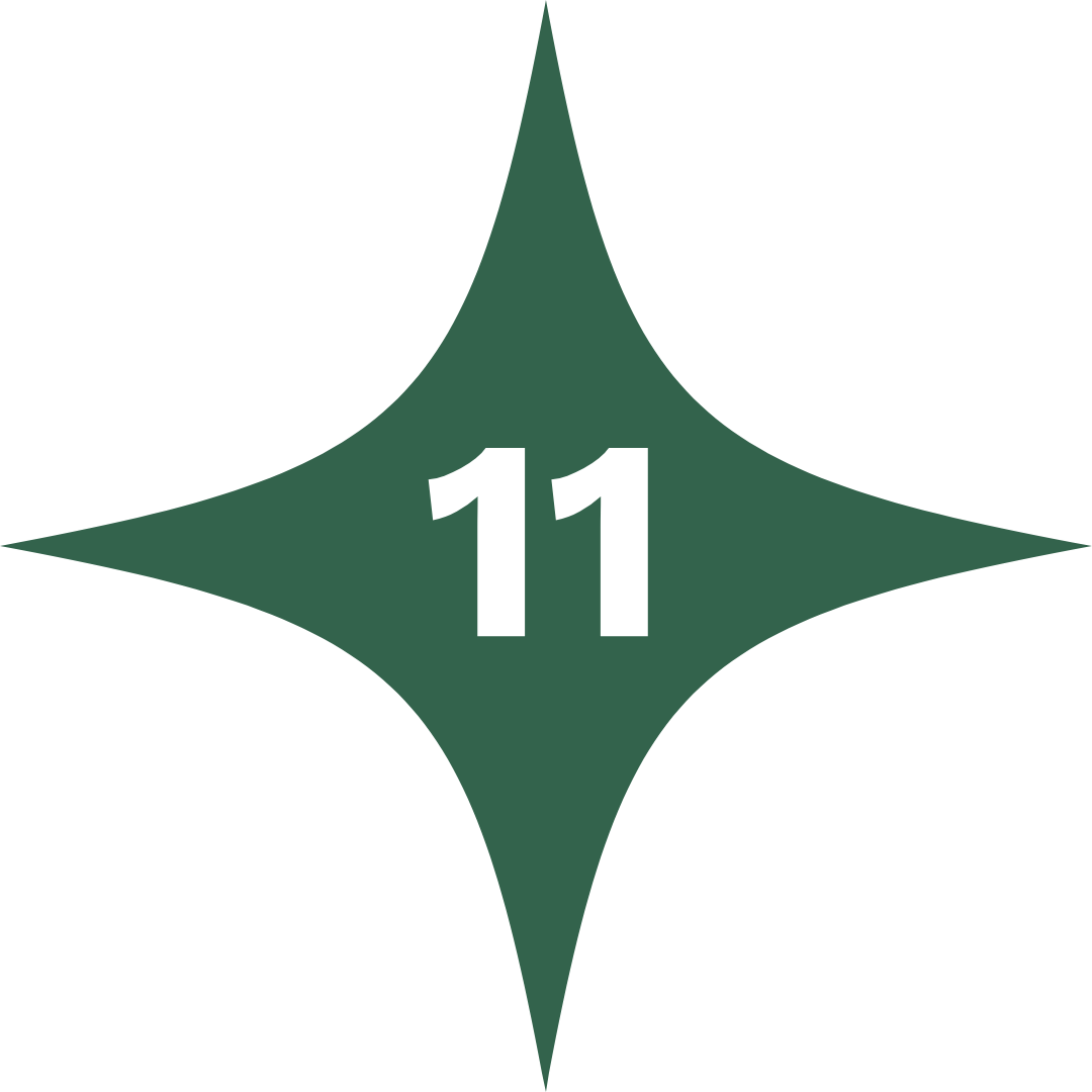 green star with number 11 in centre