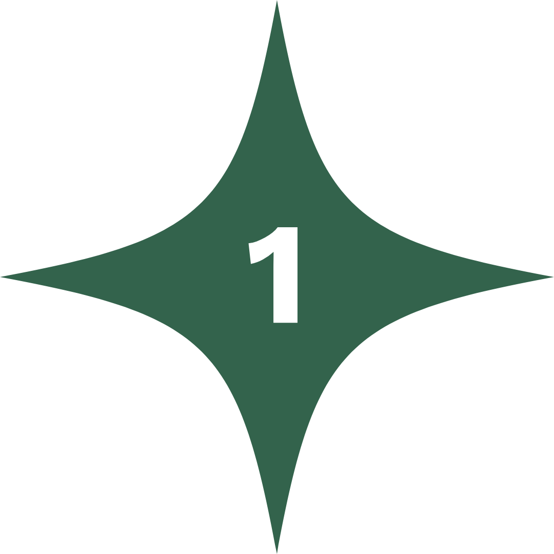 Green star with number 1 in centre