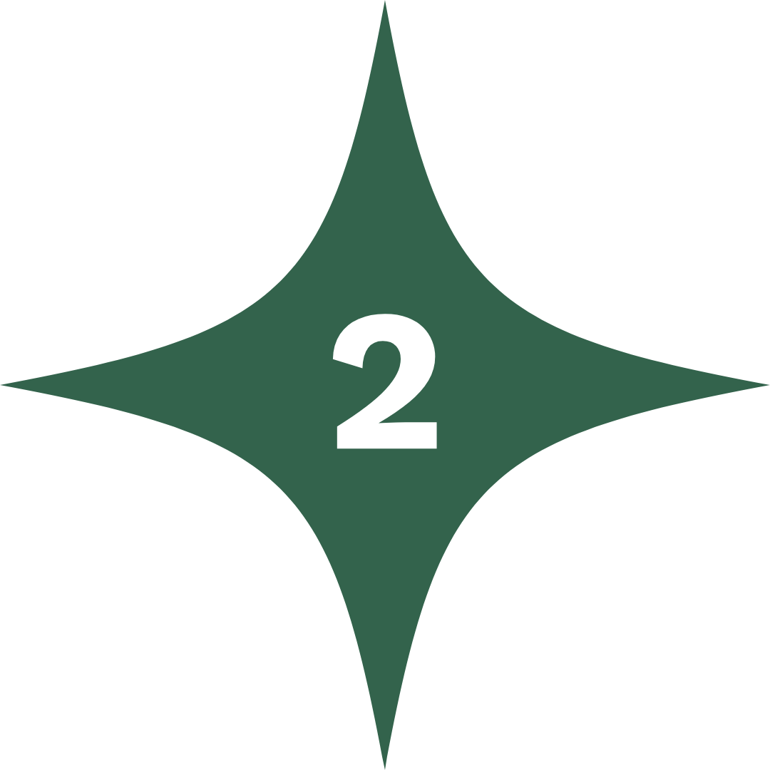 Green star with number 2 in centre