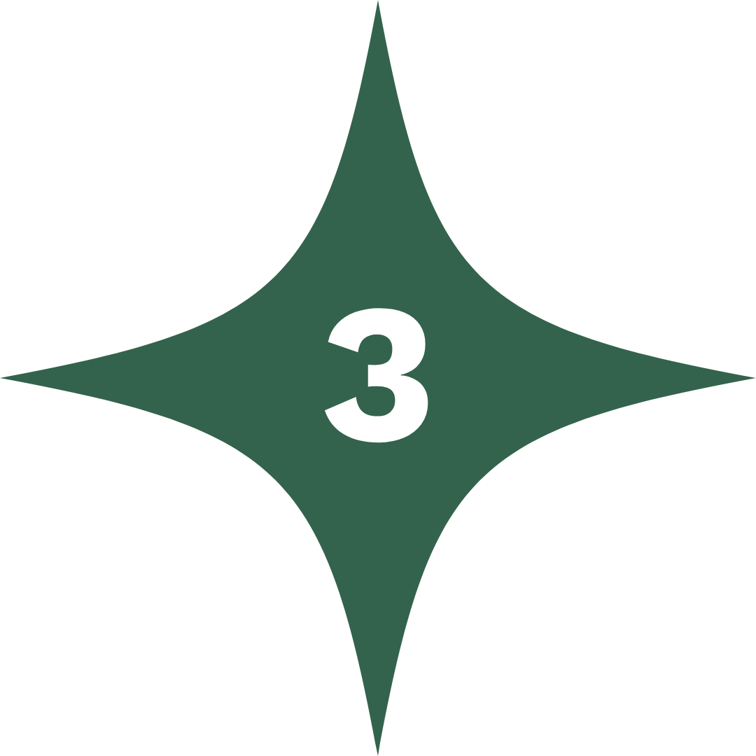 Green star with number 3 in centre