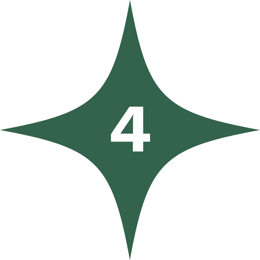 Green star with number 4 in centre