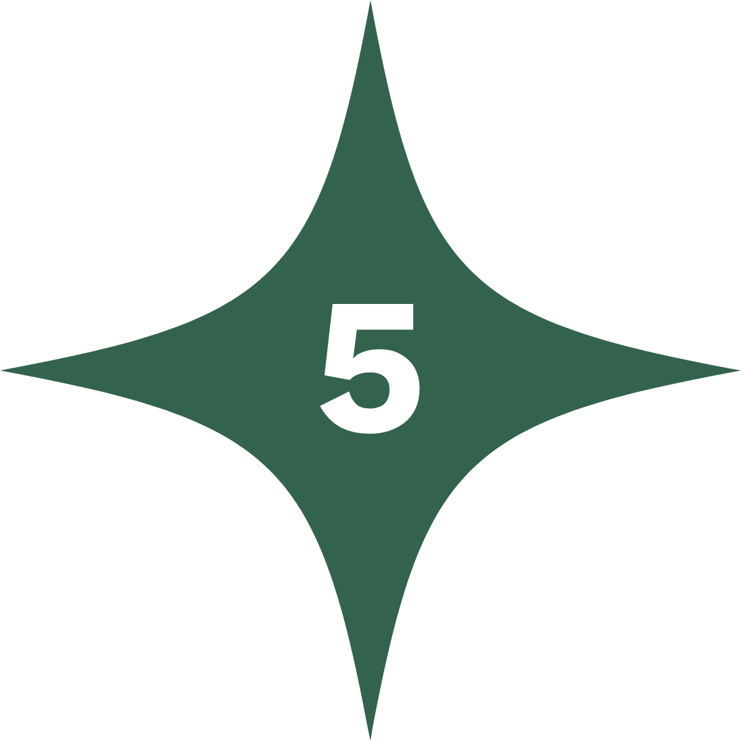 Green star with number 5 in centre