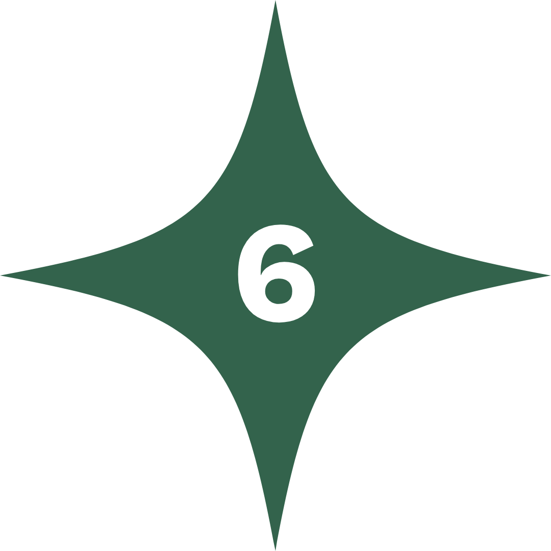 green star with number 6 in centre