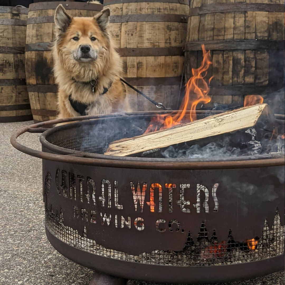 Don't miss a stop at Central Waters Brewing Co., for tasty local sips and dog-friendly patio.