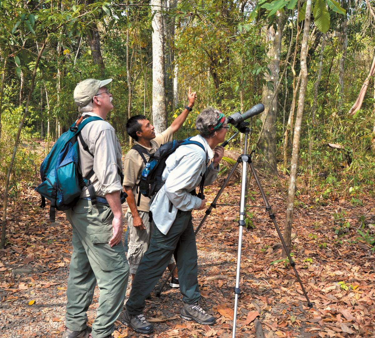 Birding