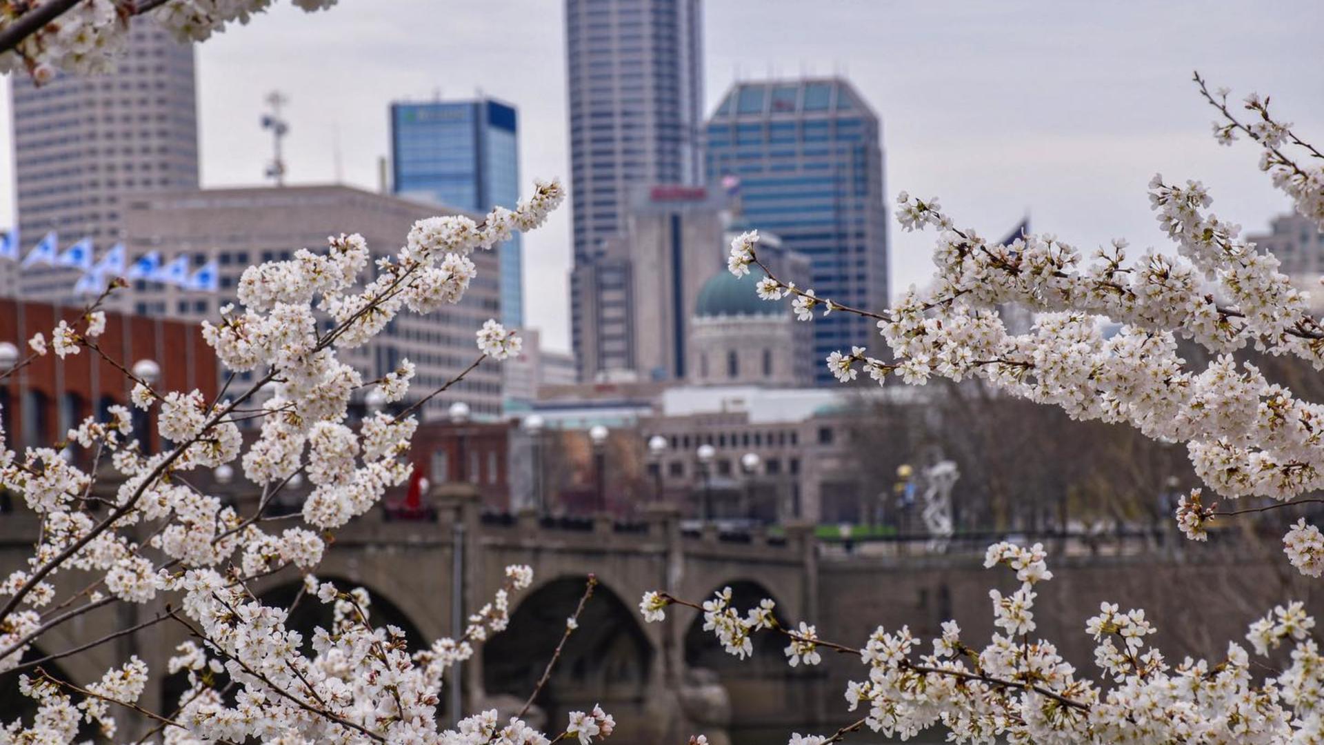 Nature Exploration is Located Just Minutes From Downtown at Indy's Eagle  Creek Park