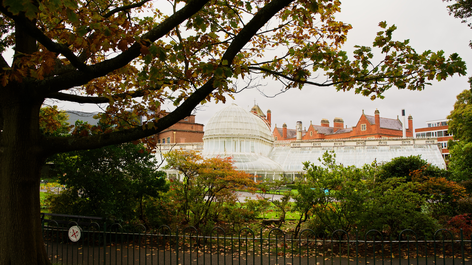 DNI Thumbnail - Belfast Botanic Gardens in Autumn
