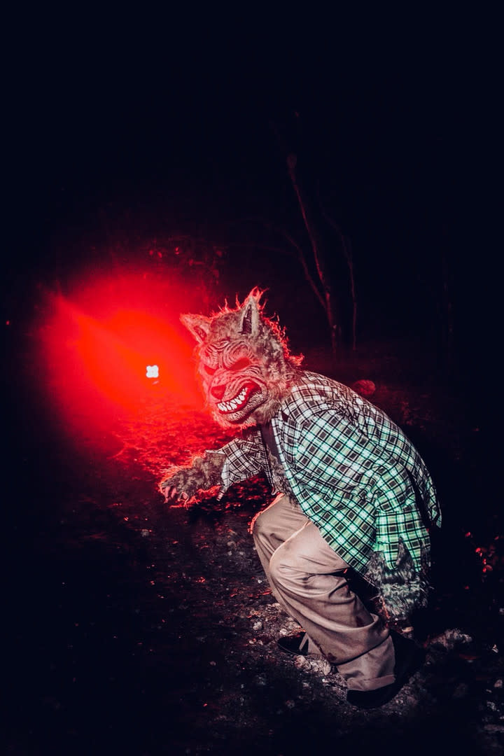 The Haunt at Tree Top Parks