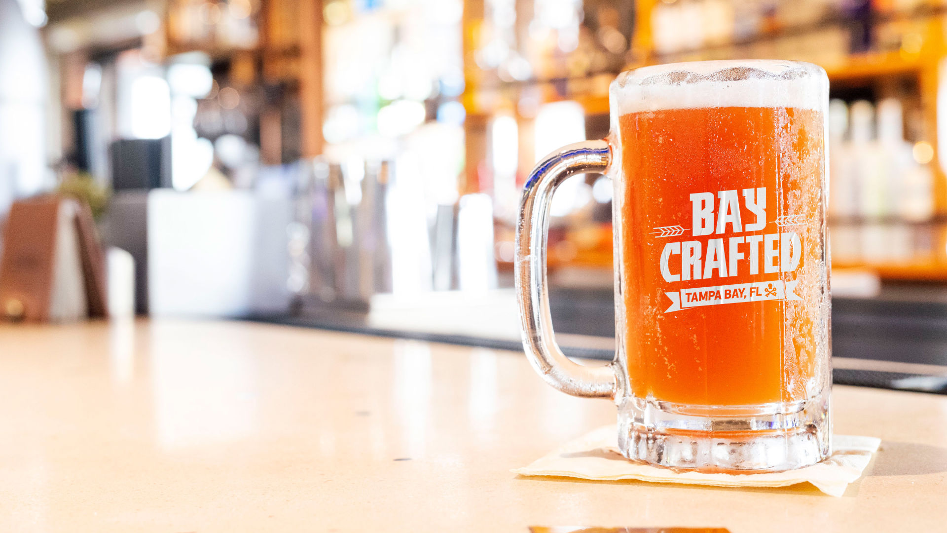 Tampa Florida Vacations Visit Tampa Bay