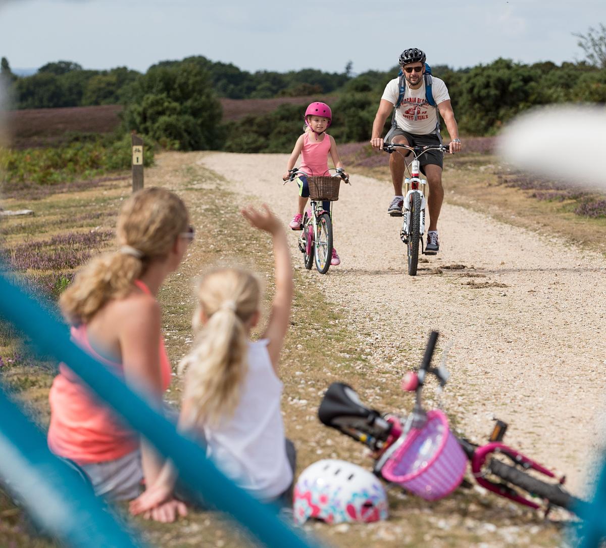Family cycling in the New Forest