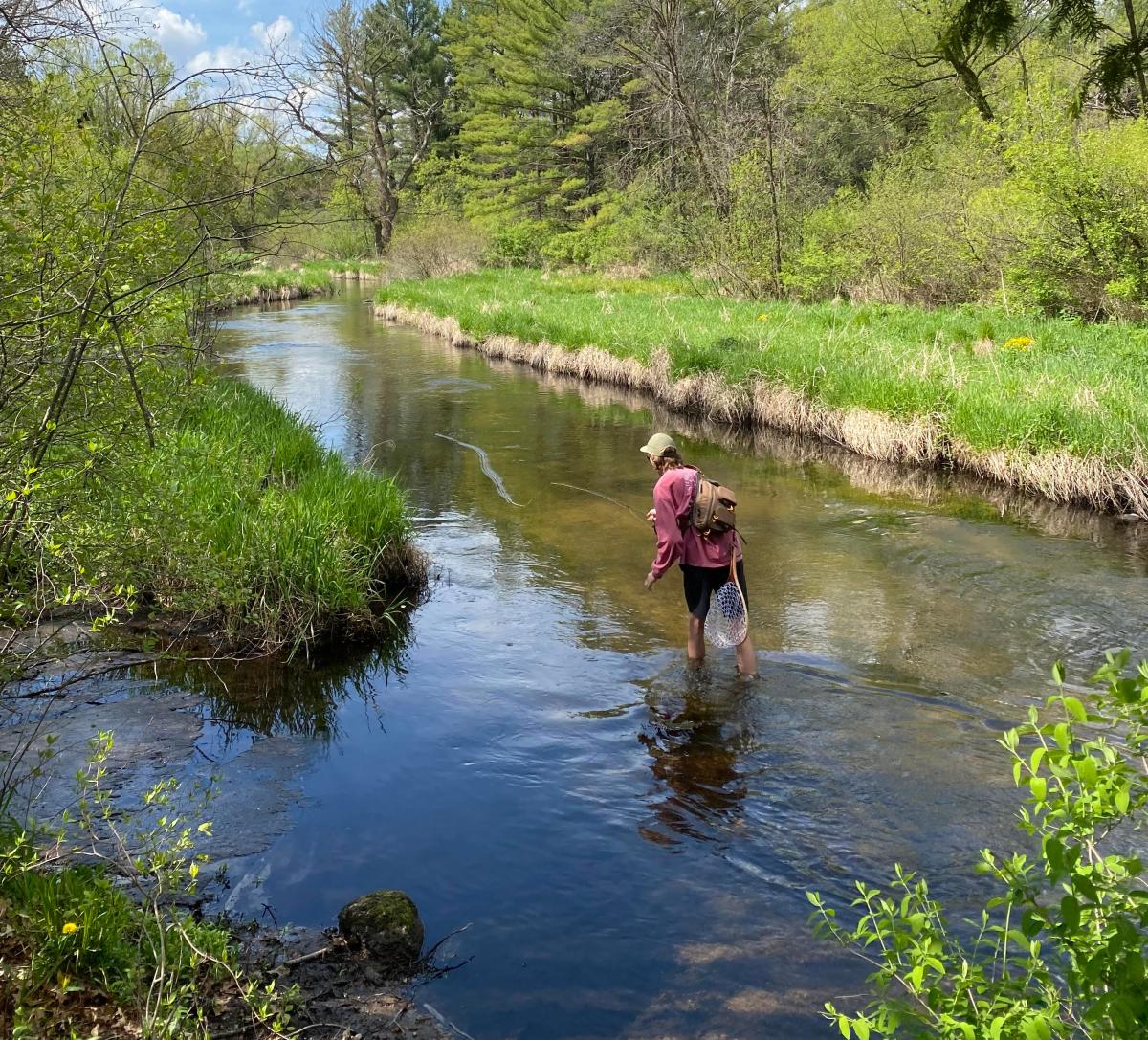 fishing, fly fishing, river