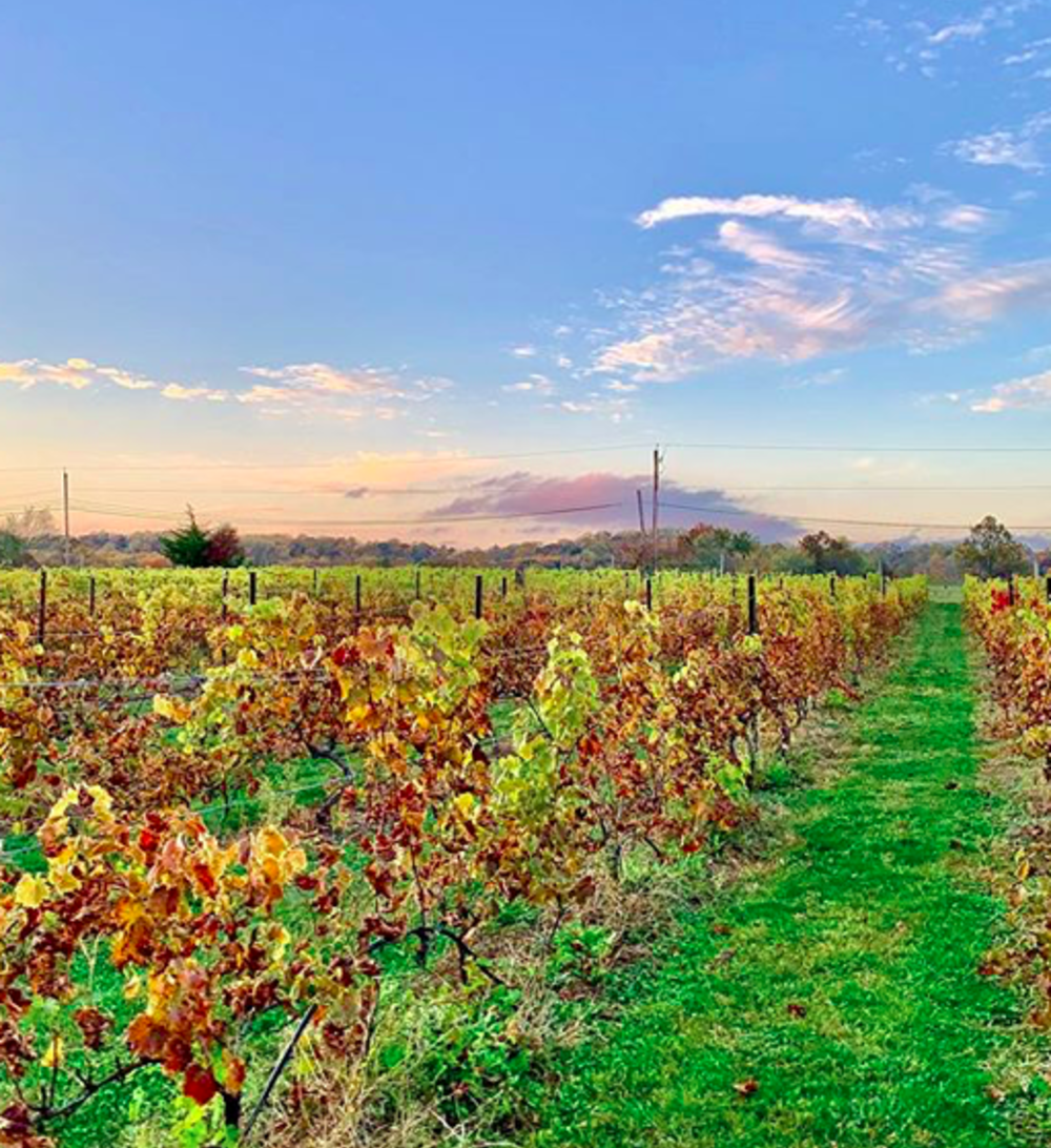 Hopewell Valley Vineyards