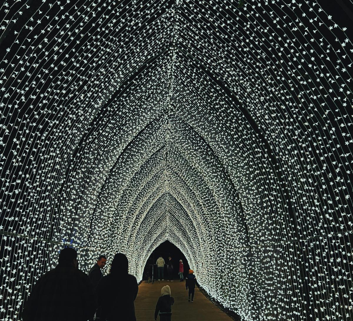 lightscape Fort Worth botanic garden