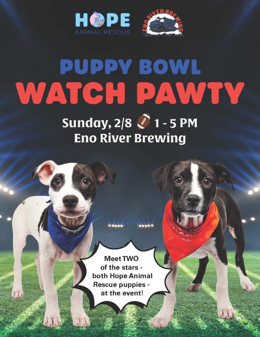 Two puppies in a poster for a Puppy Bowl Watch Party