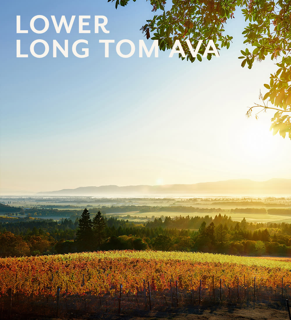 Sunrise at Benton-Lane's vineyards with overlay text: "Lower Long Tom AVA"