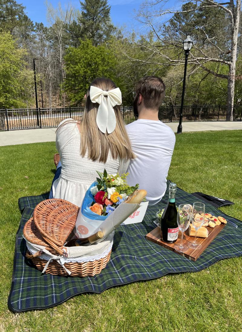 Picnic Dunwoody Brook Run Park