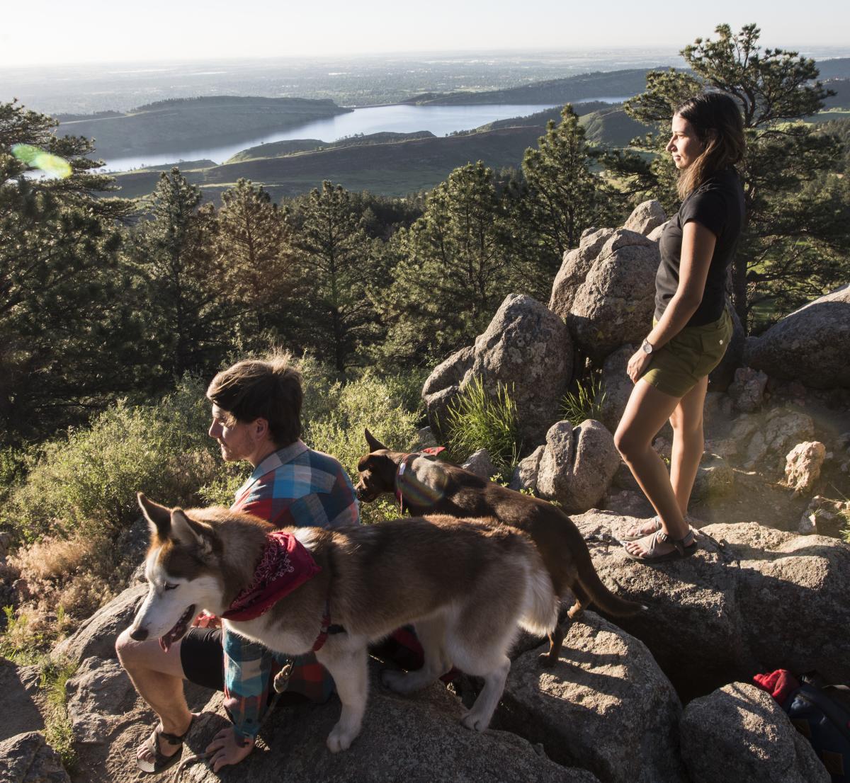 Campers with their dogs