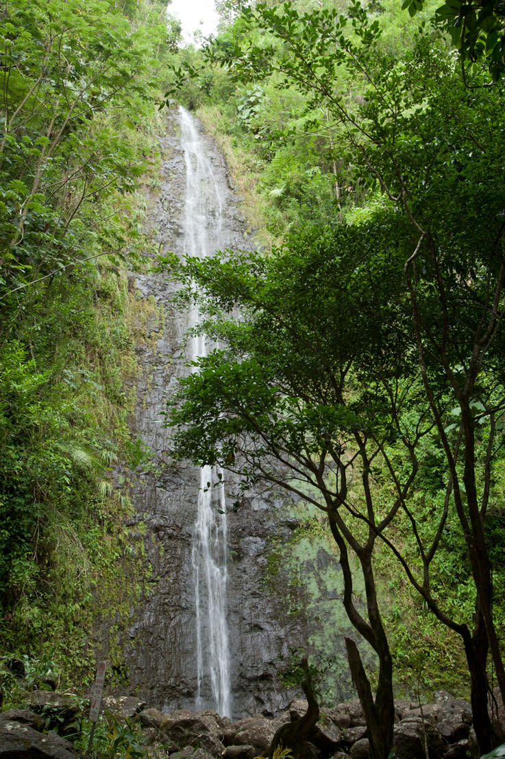 Manoa Falls