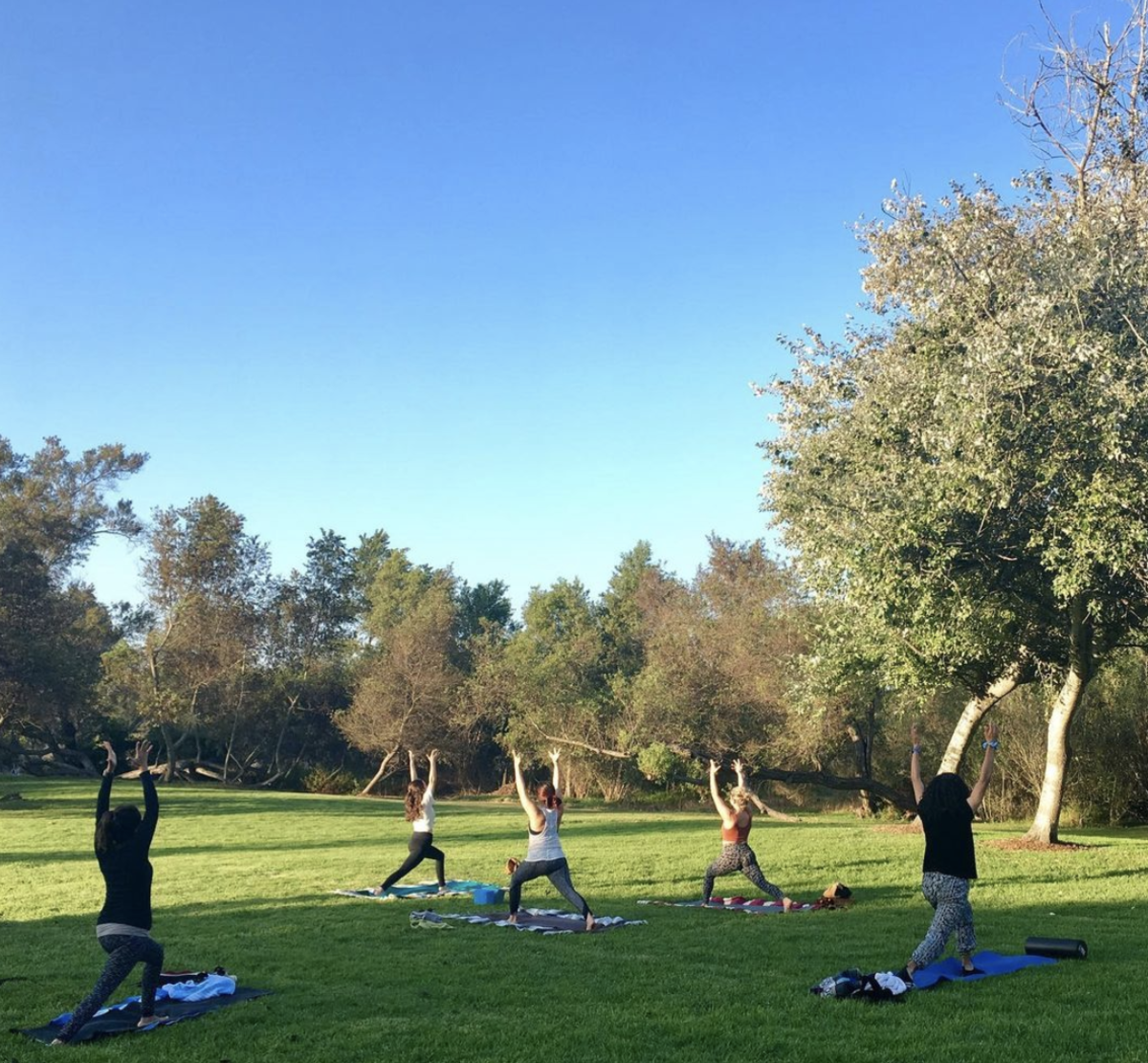 Huntington Central Park Yoga