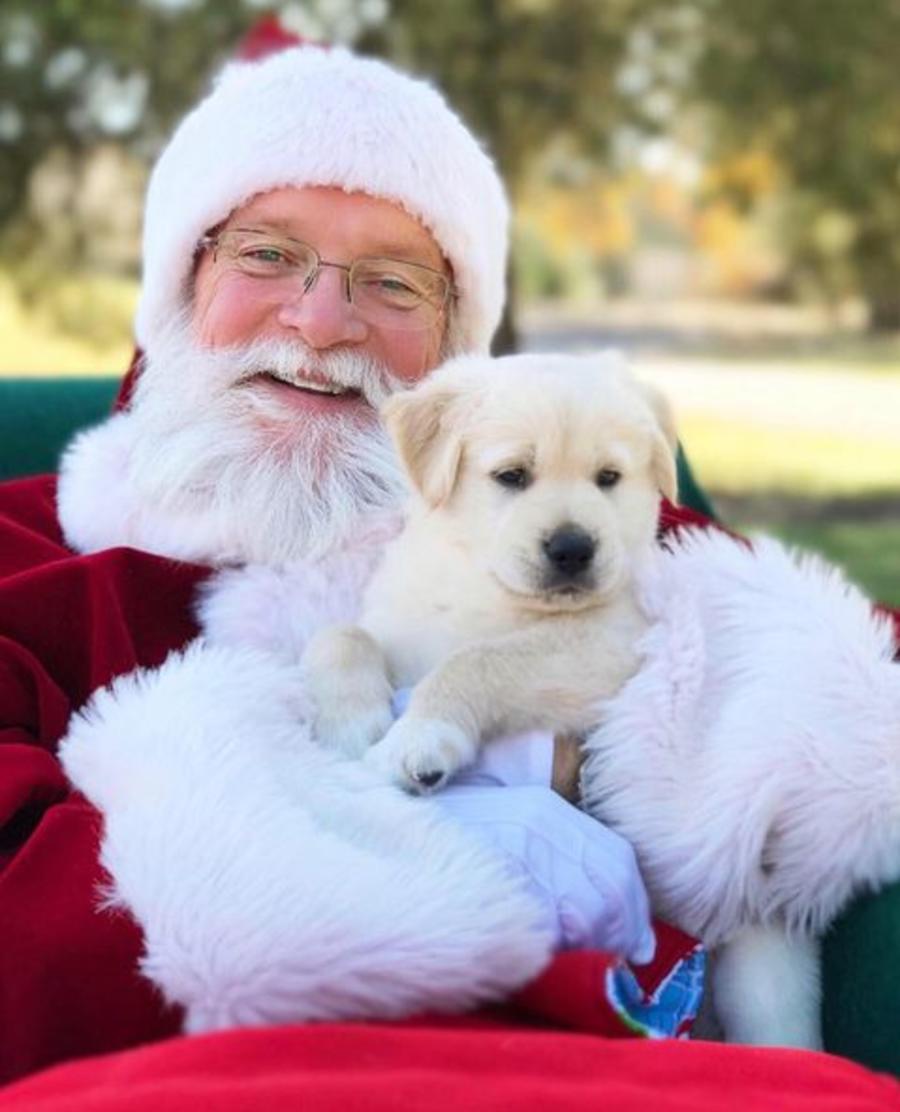 Santa with a Puppy