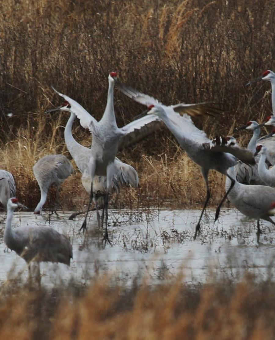 The Wheeler National Wild Refuge.