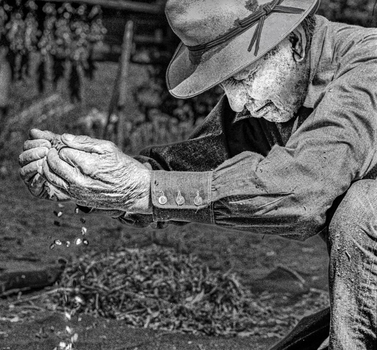 Black and white close up photograph of an older man crouching outdoors and sifting beans through his hands.