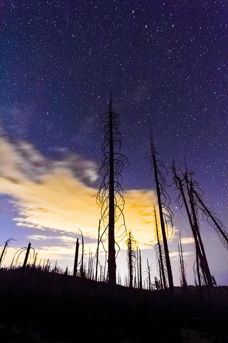 Okanagan Mountain Park Stars