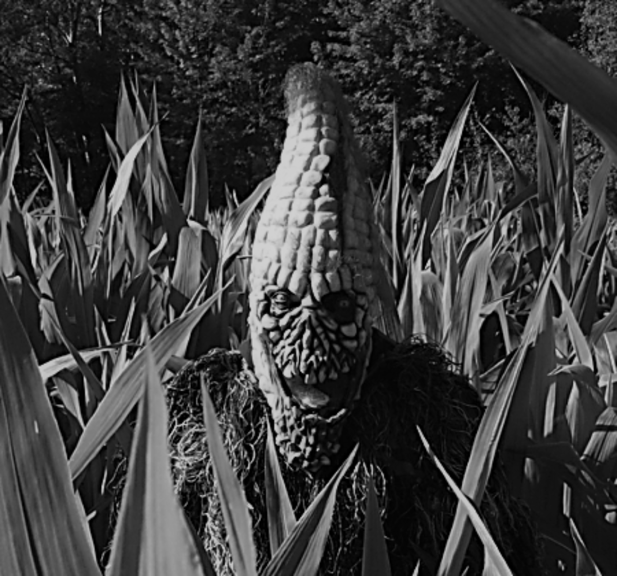 desrochers corn maze