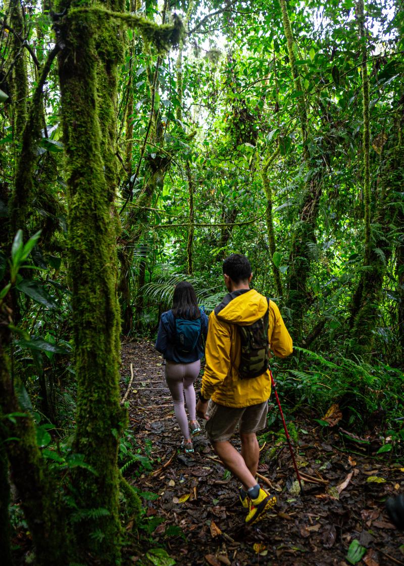Hiking - La Amistad Internacional Park