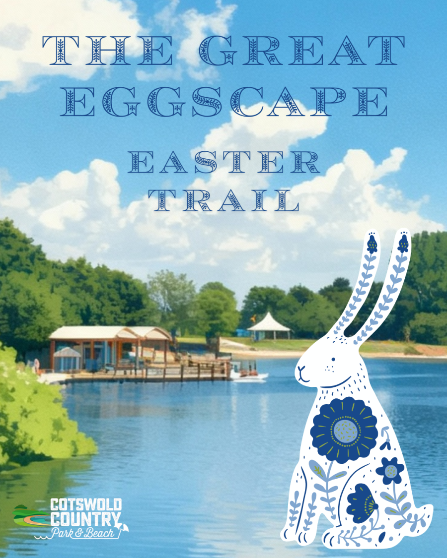 An poster showing the lake and beach at Cotswold Country Park & Beach with a white and blue hare illustration