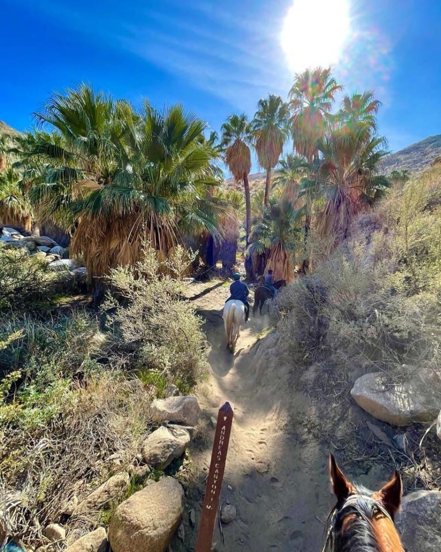 smoke tree stables andreas canyon