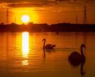STAF - Blog Image - Chasewater by @zort70 300x290