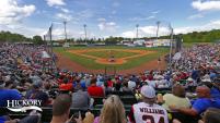 Zoom Background- Hickory Crawdads