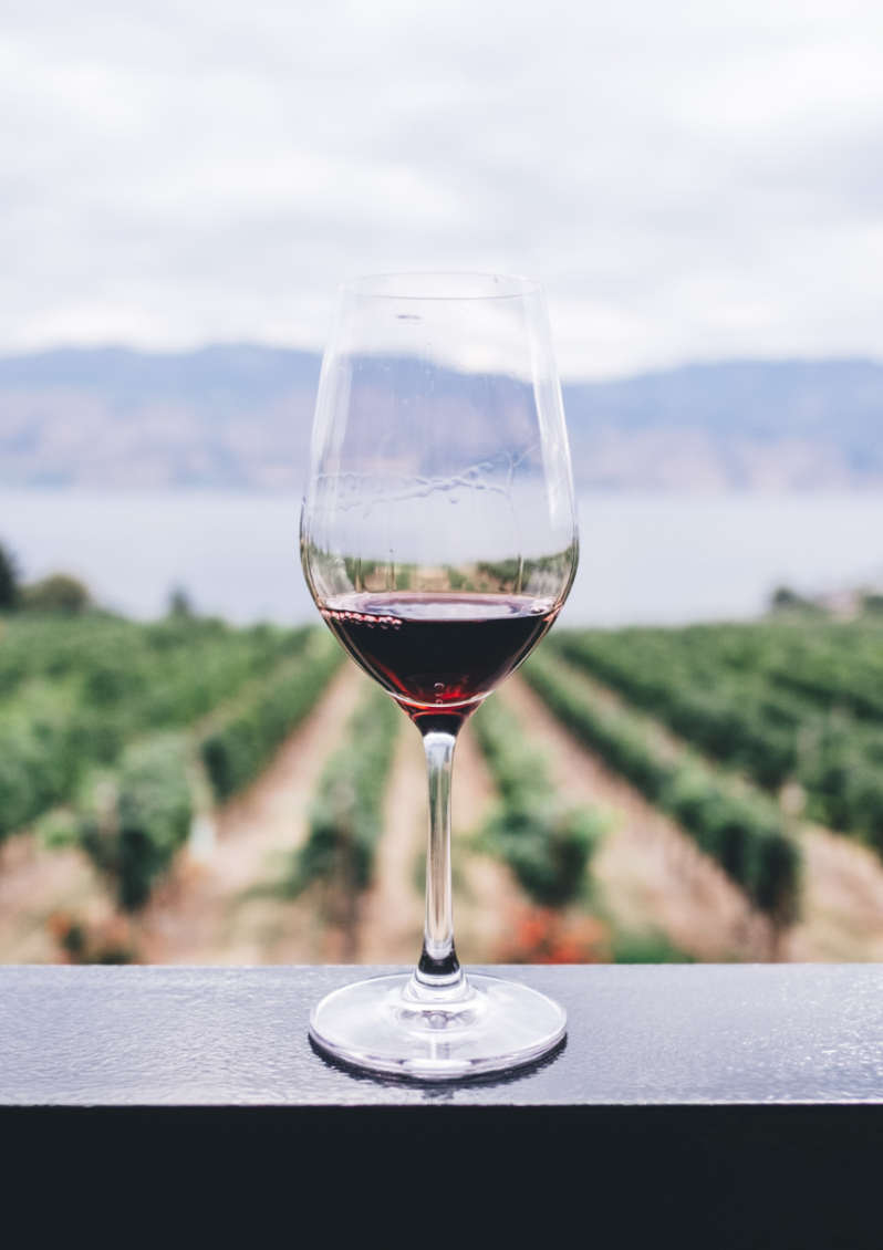 generic wine glass with vineyard backdrop