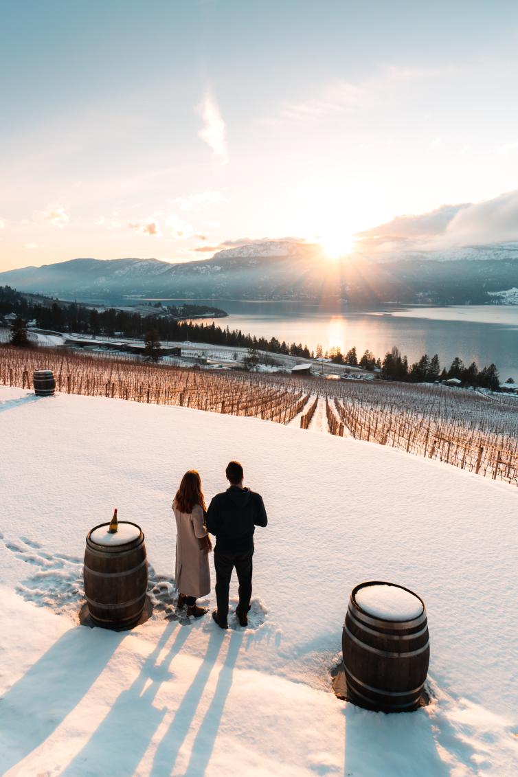 50th Parallel Winery