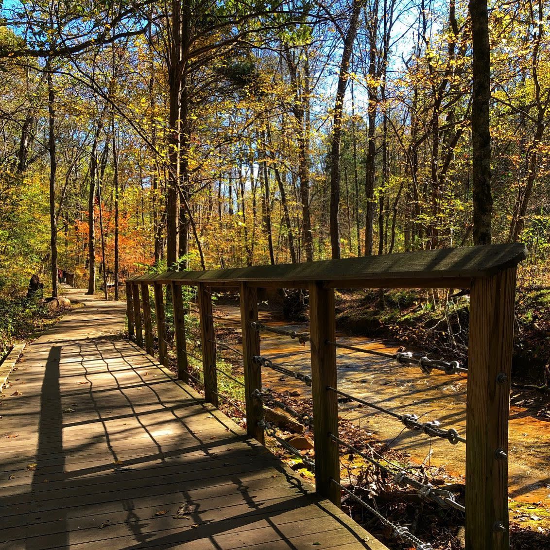 Rotary Park - Fall Bridge